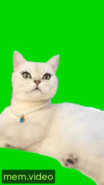 Кадр на 0:02