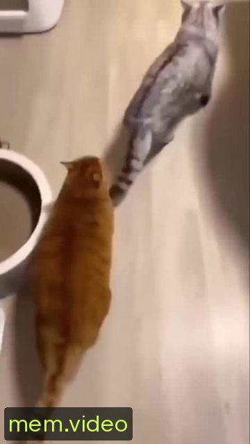 Кадр на 0:01