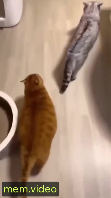 Кадр на 0:01