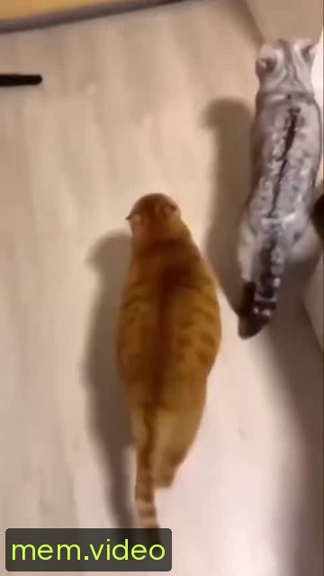Кадр на 0:02