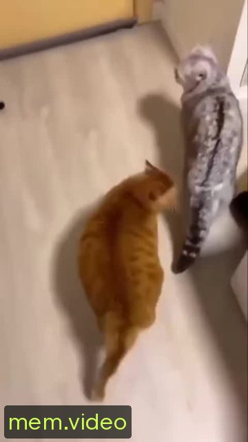 Кадр на 0:02