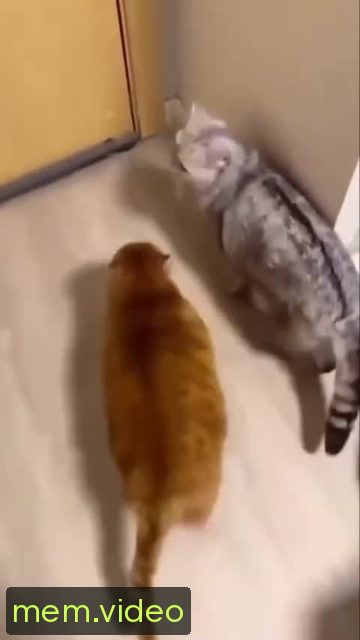 Кадр на 0:03