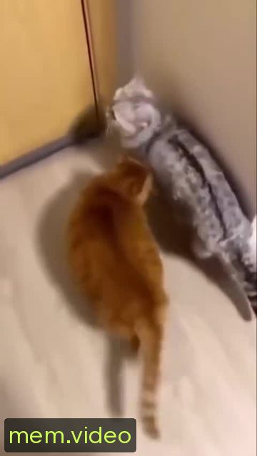 Кадр на 0:03