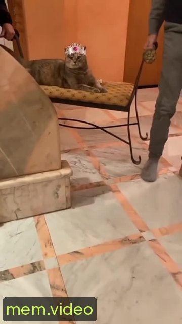 Кадр на 0:02