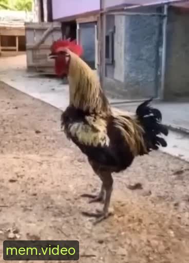 Кадр на 0:02