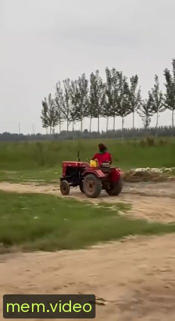 Кадр на 0:08