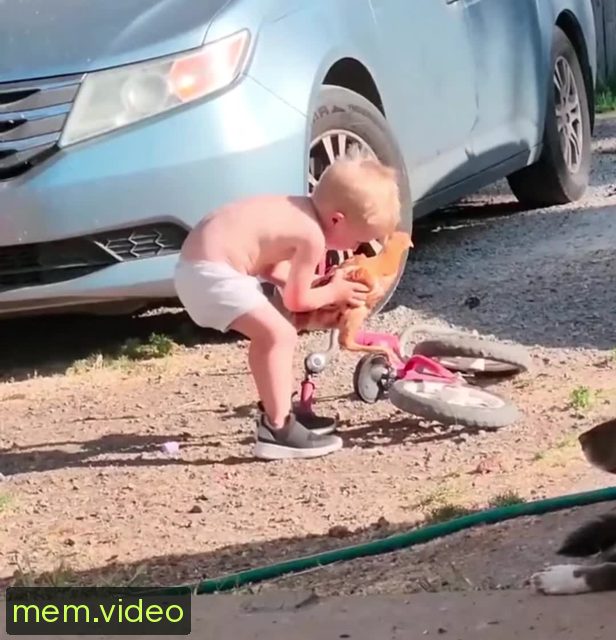 Кадр на 0:00
