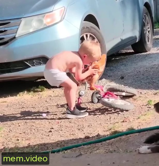 Кадр на 0:01