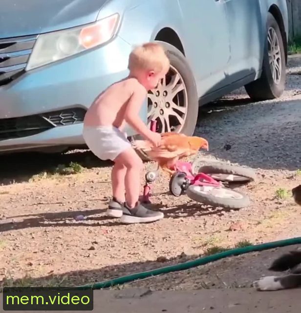 Кадр на 0:03