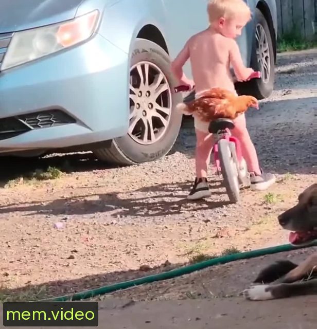 Кадр на 0:14