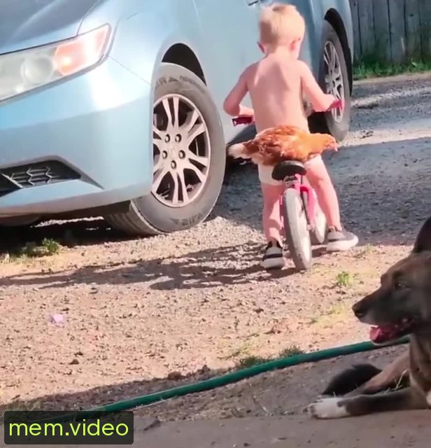 Кадр на 0:15