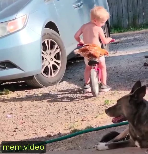 Кадр на 0:17