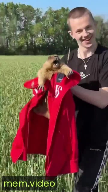 Кадр на 0:01