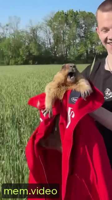Кадр на 0:02