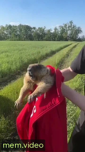 Кадр на 0:07