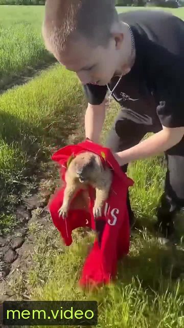 Кадр на 0:08