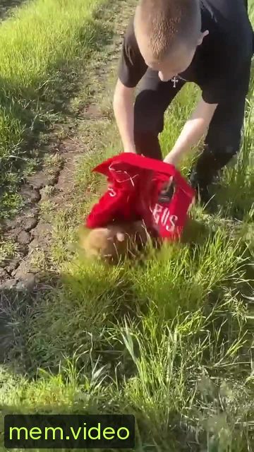 Кадр на 0:09