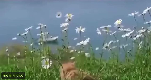 Кадр на 0:01
