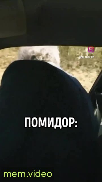 Кадр на 0:03