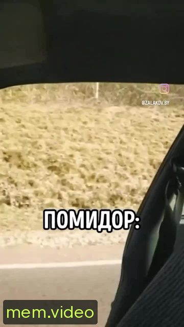 Кадр на 0:04