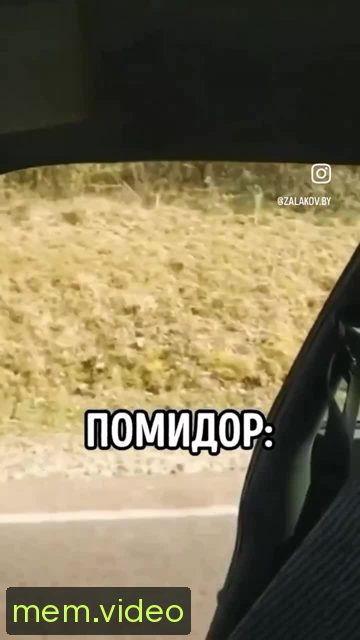 Кадр на 0:04