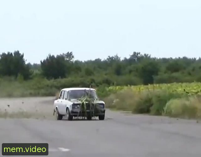 Кадр на 0:05