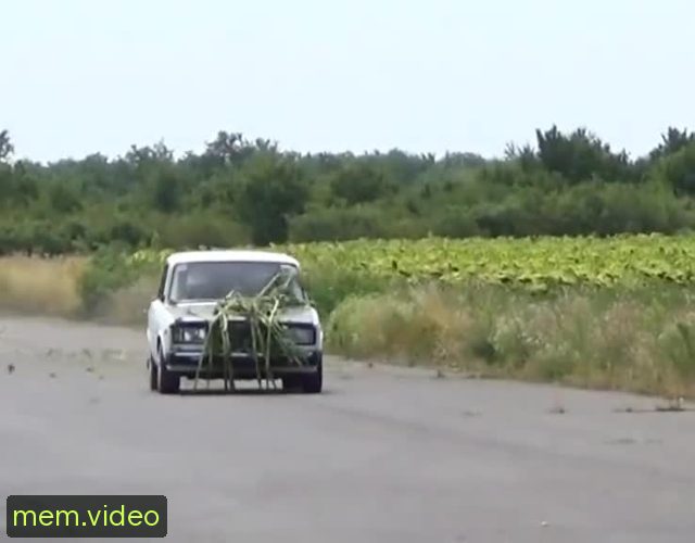 Кадр на 0:07