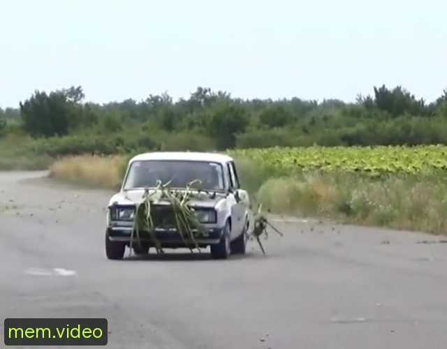 Кадр на 0:08