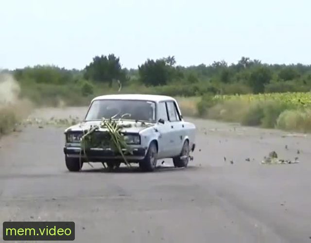 Кадр на 0:08