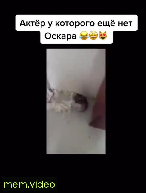 Кадр на 0:00