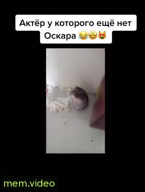Кадр на 0:02