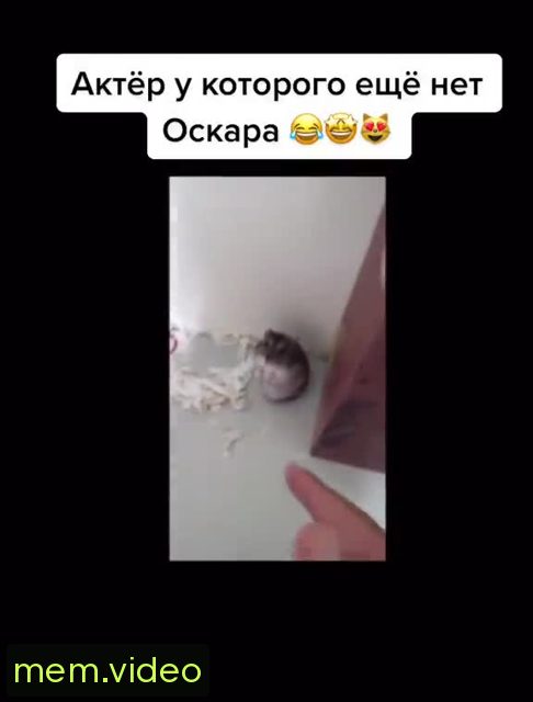 Кадр на 0:06