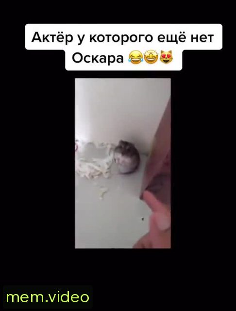 Кадр на 0:07