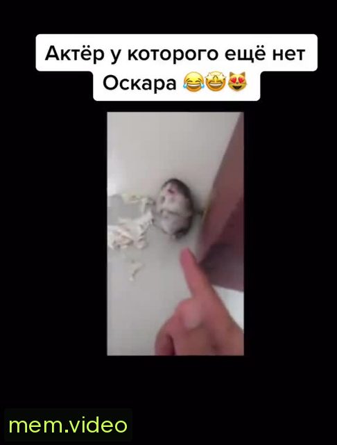 Кадр на 0:08