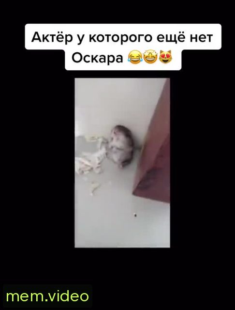 Кадр на 0:10