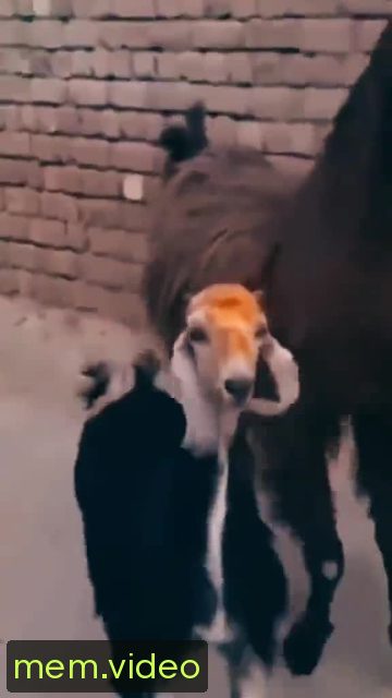 Кадр на 0:04