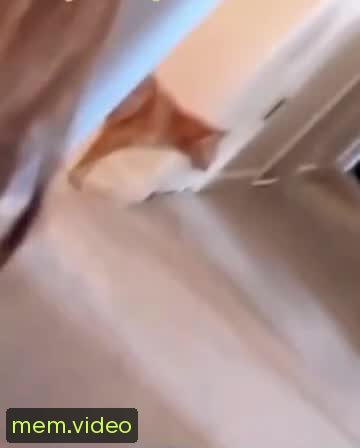 Кадр на 0:01