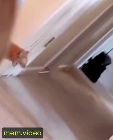 Кадр на 0:05