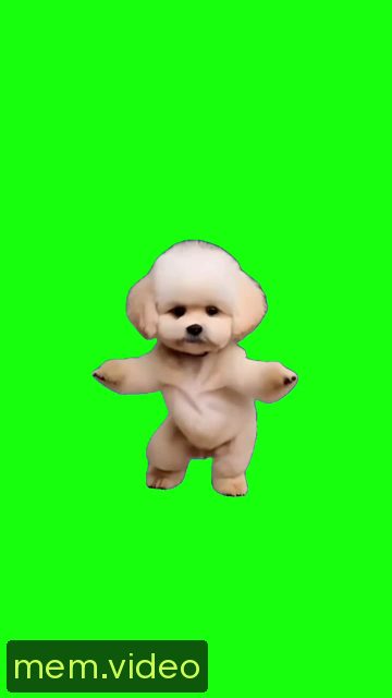 Кадр на 0:01