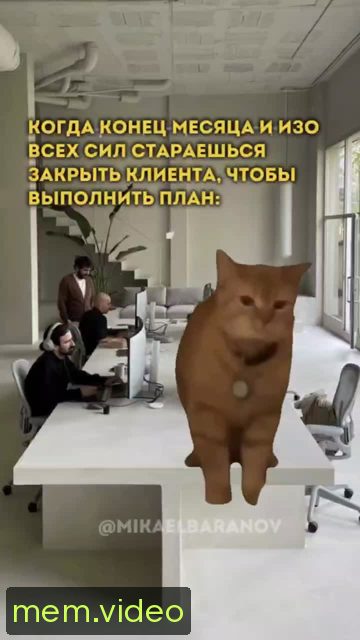 Кадр на 0:00
