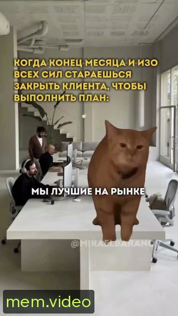 Кадр на 0:01