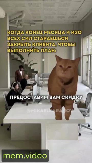 Кадр на 0:03