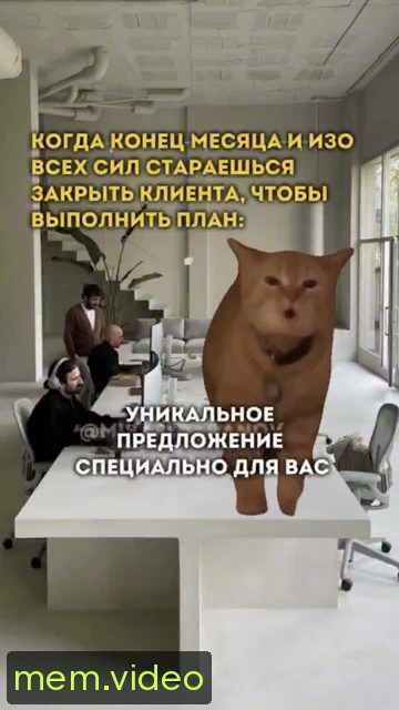 Кадр на 0:04
