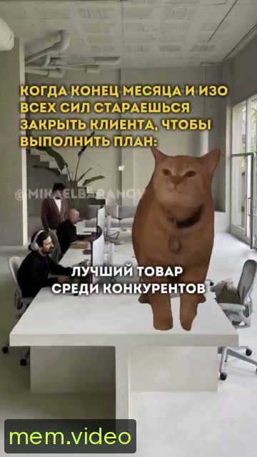 Кадр на 0:06