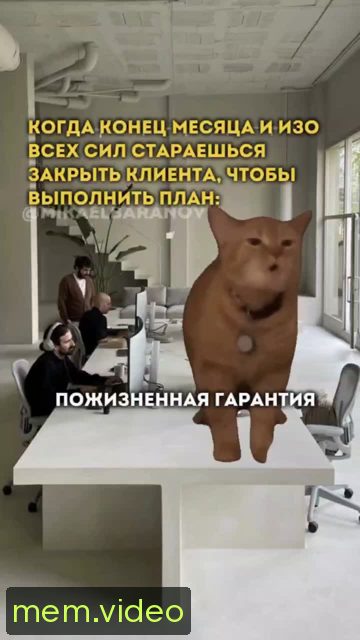 Кадр на 0:09