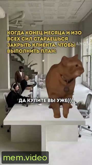 Кадр на 0:11