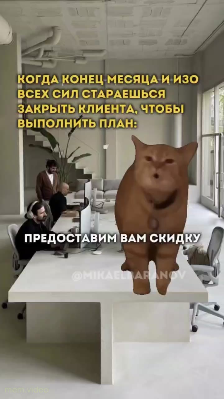 Кадр: Рыжий кот танцует на столе в офисе