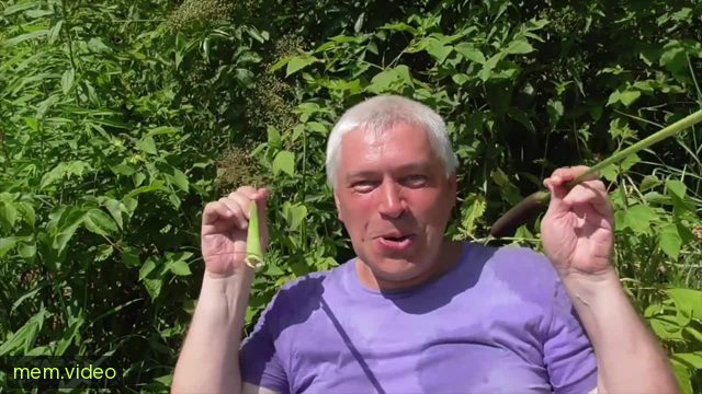 Кадр на 0:07