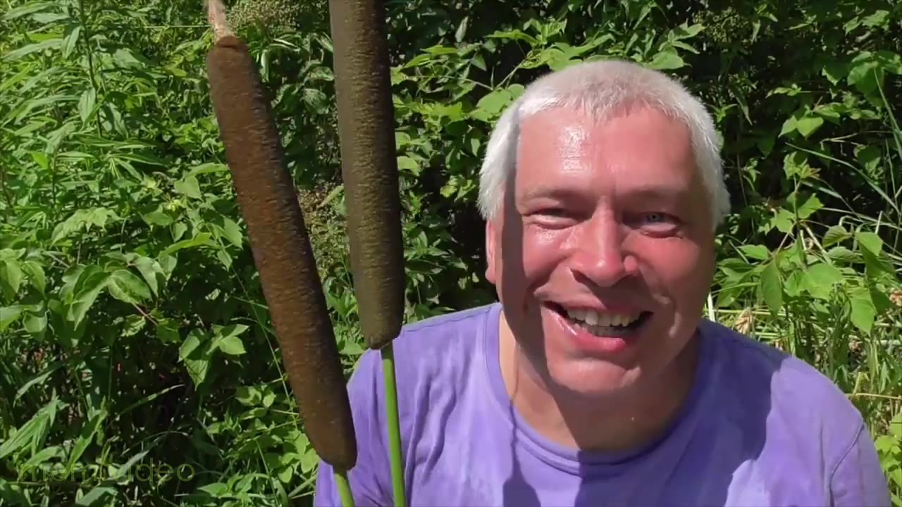 Кадр: «У меня камыш» — Геннадий Горин на природе