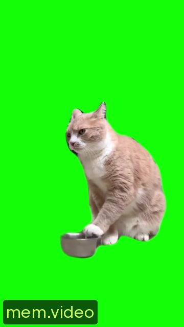 Кадр на 0:02